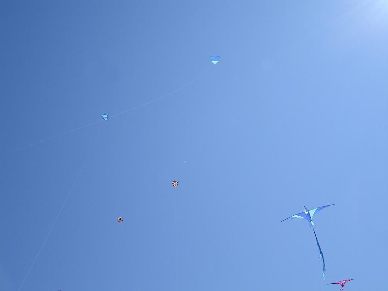 Dsc03400.jpg - Uwe und ich stellten unsere Gierl-Mezger an den Himmel.
