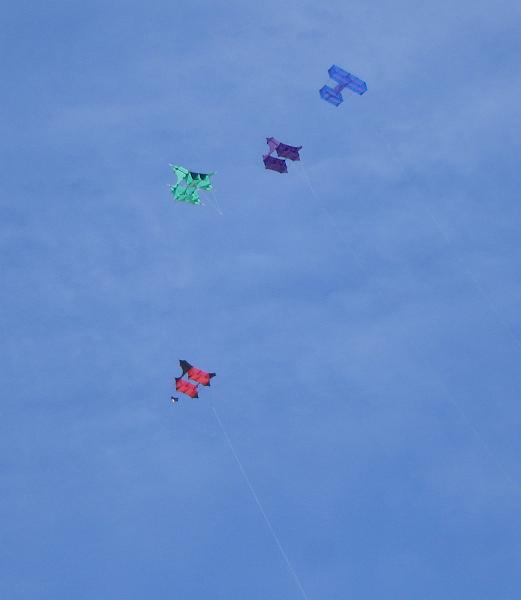Dsc03436.jpg - Heute (Sa. 20.6.) ist unser letzter Tag am Strand. Noch einmal die Codys an den Himmel gestellt.