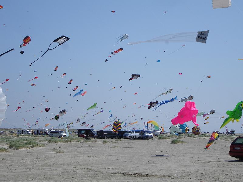 DSC04742.JPG - Der Strand ist schon wieder grner geworden. Die grasbewachsenen kleinen Dnen breiten sich immer weiter aus.
