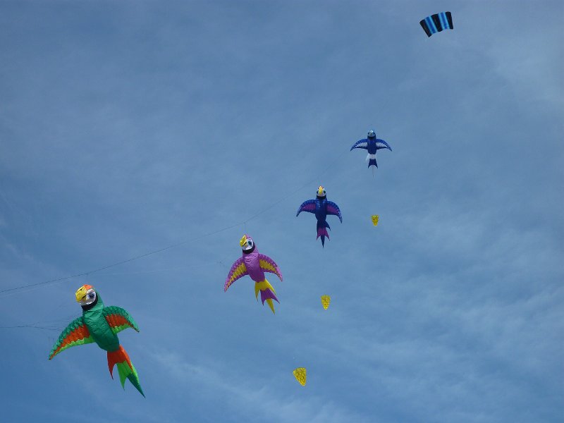 P1040273.JPG - Eine imposante Kette.