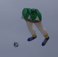 Legs