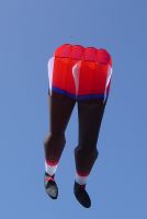 Legs